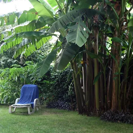 Mariposa Bed & Breakfast Collecorvino