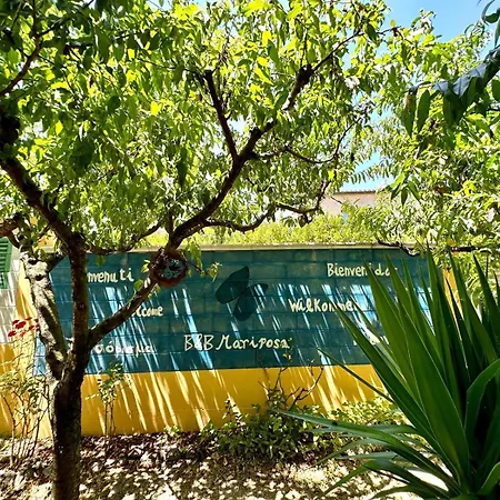 Mariposa Collecorvino