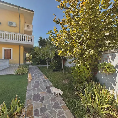 Mariposa Collecorvino