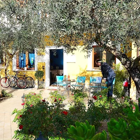 Mariposa Bed & Breakfast *