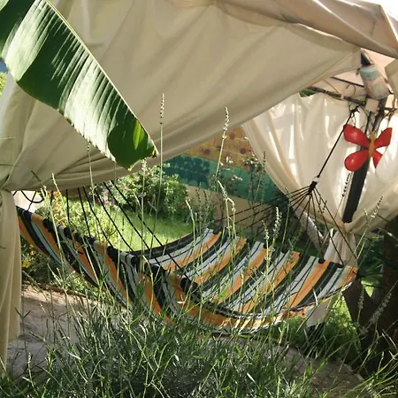 Bed & Breakfast Mariposa *