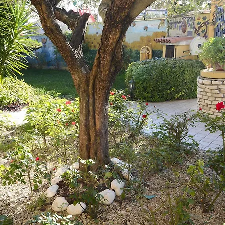 Mariposa Collecorvino