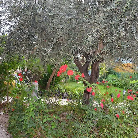 Mariposa Bed & Breakfast