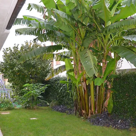 Mariposa Oda ve Kahvaltı Collecorvino