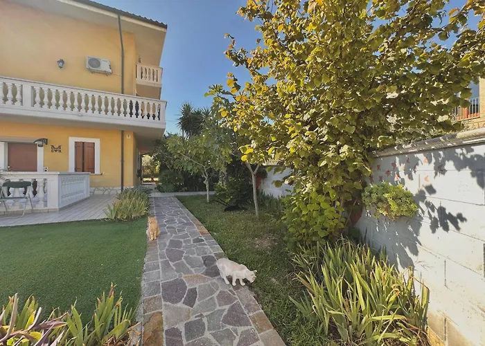 Mariposa Collecorvino