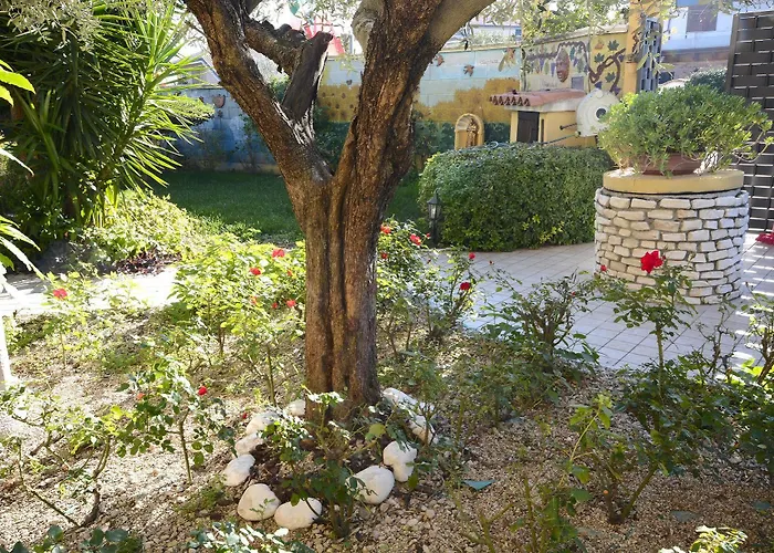 Mariposa Collecorvino