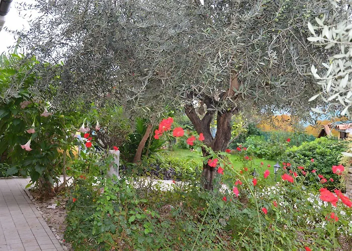 Mariposa Bed and Breakfast